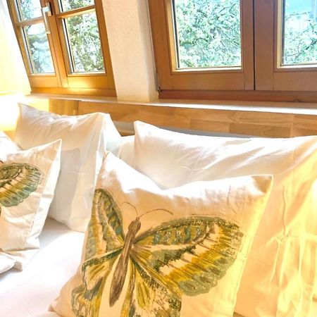 Ferienwohnung Diana Sexau ภายนอก รูปภาพ